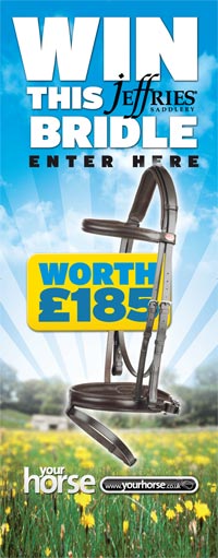 Your Horse magazine rollerbanner