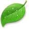 Coda, one-window web development